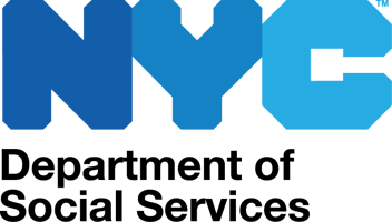 DSS_Color logo